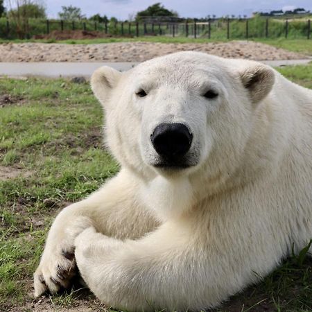 Chic 2 Bed Peak District Cottage Barn Near Alton Towers, Polar Bears, Chatsworth House Leek Buitenkant foto