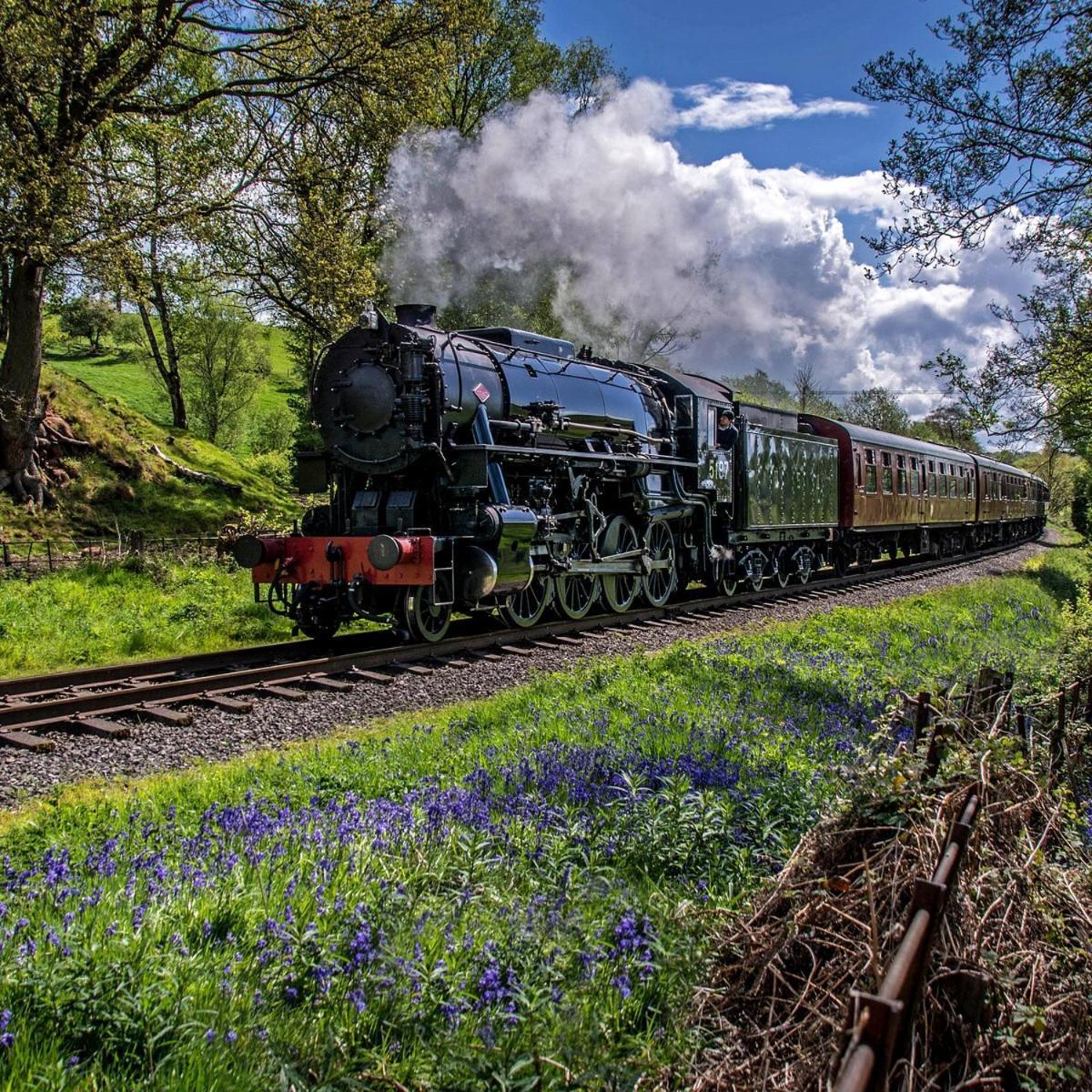Chic 2 Bed Peak District Cottage Barn Near Alton Towers, Polar Bears, Chatsworth House Leek Buitenkant foto